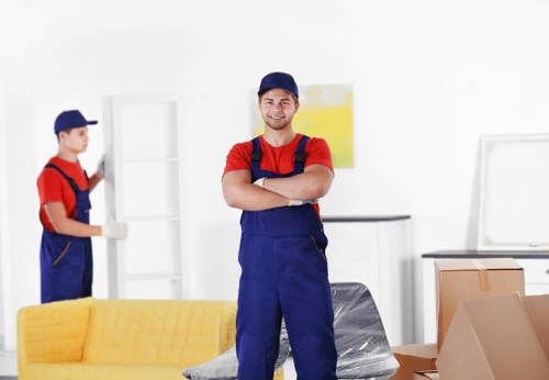 Related moving services and options